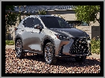 Lexus NX 350h