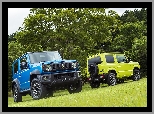 Suzuki Jimny, Drzewa, Dwa, Wzgórze